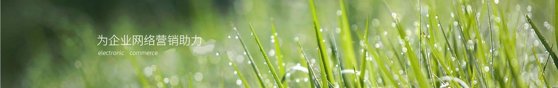 ݸ˼ͨѶƼ޹˾
